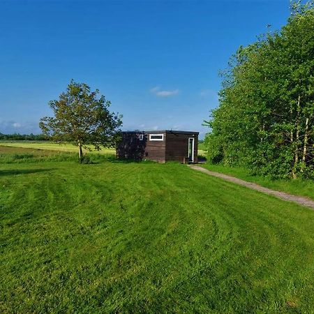 Tiny House "De Veenpolder" De Veenhoop 外观 照片