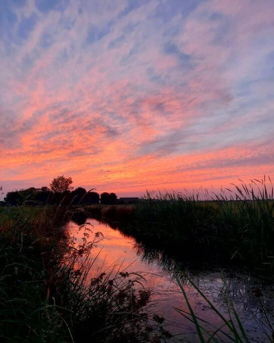 Tiny House "De Veenpolder" De Veenhoop 外观 照片