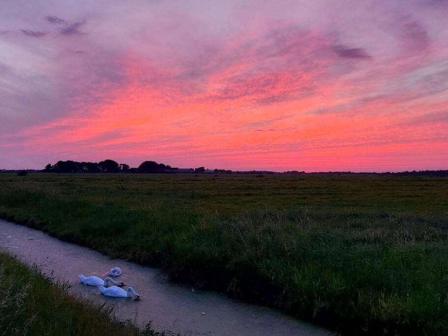 Tiny House "De Veenpolder" De Veenhoop 外观 照片